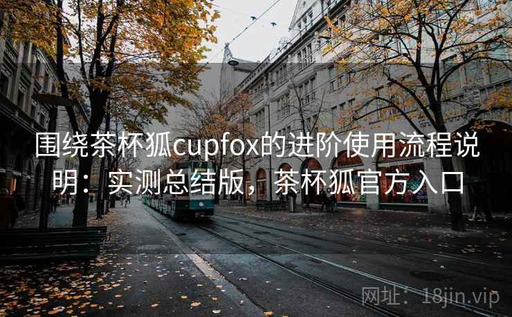 围绕茶杯狐cupfox的进阶使用流程说明：实测总结版，茶杯狐官方入口