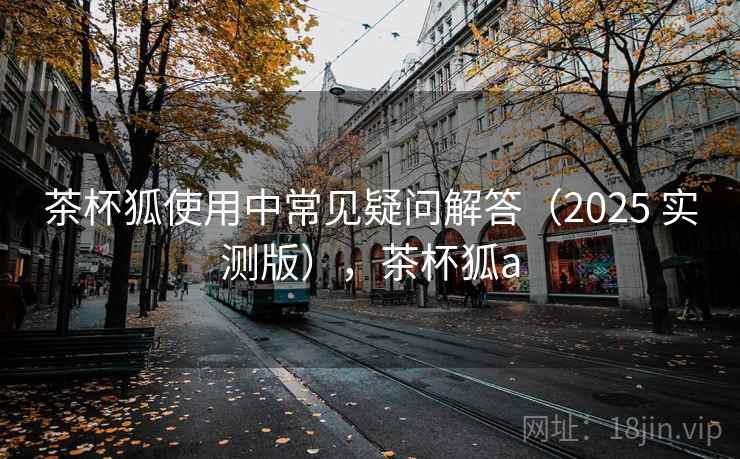 茶杯狐使用中常见疑问解答（2025 实测版），茶杯狐a